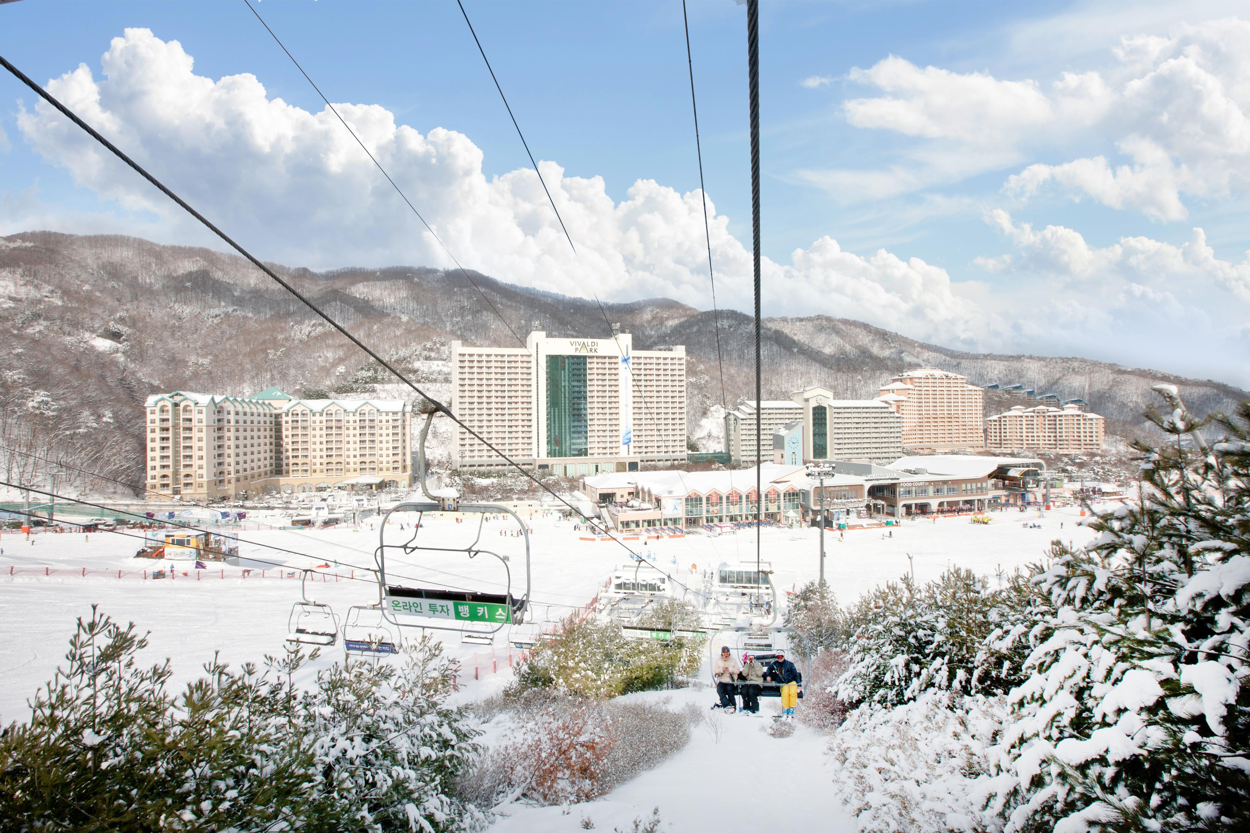  Vivaldi Park Winter Ski + Eobi Ice Valley Day Tour from Seoul  - Photo 1 of 10